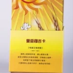 百恩益生菌 (30入)