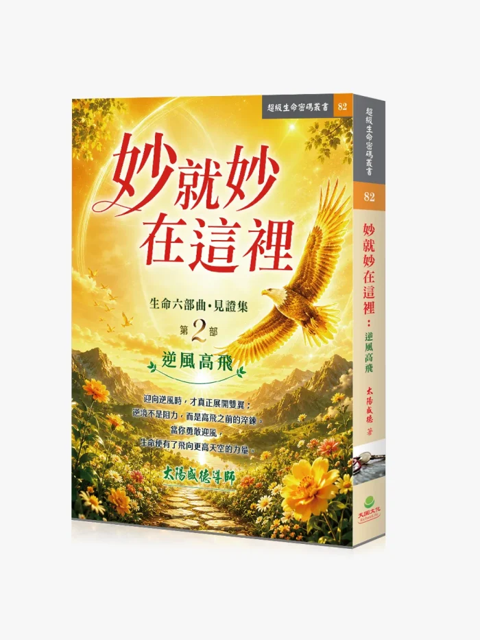 妙就妙在這裡_逆風高飛_立體圖-轉檔前格式-為-jpg 妙就妙在這裡:逆風高飛